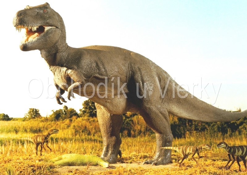 jedly-obrazok-dinosaurus-c.8009-02